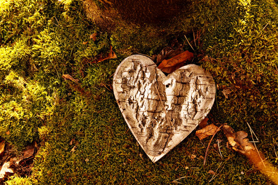 funeral Heart sympathy or wooden funeral heart shape in woodland. Natural burial grave in the forest. Heart on grass or moss. tree place of burial, cemetery and All Saints Day concepts