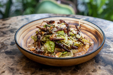 exotic salad prepared with crickets
