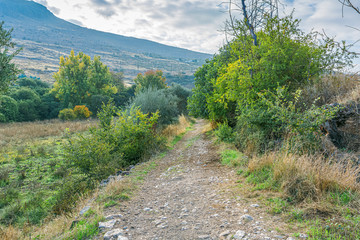 Obraz premium Forest road in famous Riofrio. Granada. Spain.