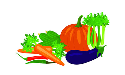 Vegetables isolated on white background in organic style. Realistic cartoon vegan banner, poster. Collection carrot, cucumber, eggplant, pepper, pumpkin, celery. Set vector illustrations.