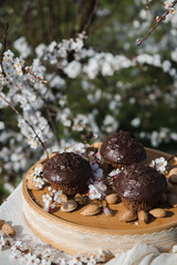 Tasty chocolate cupcakes. Homemade chocolate muffin cupcake with cream buttercream icing. Easter sweet dessert cake. Close up view. Cupcakes in blooming trees. Outdoor shooting in garden.