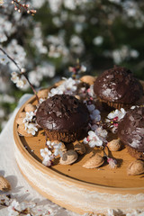 Tasty chocolate cupcakes. Homemade chocolate muffin cupcake with cream buttercream icing. Easter sweet dessert cake. Close up view. Cupcakes in blooming trees. Outdoor shooting in garden.