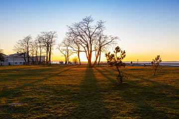 Beautiful View of a park by the Pacific Ocean Shore, Blackie Spit, during a vibrant sunny winter sunset. Located in White Rock, Vancouver, British Columbia, Canada.