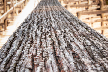 angle wood
