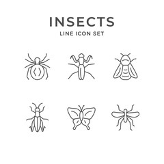 Fototapeta na wymiar Set line icons of insects
