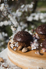 Obraz na płótnie Canvas Tasty chocolate cupcakes. Homemade chocolate muffin cupcake with cream buttercream icing. Easter sweet dessert cake. Close up view. Cupcakes in blooming trees. Outdoor shooting in garden.