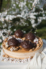 Tasty chocolate cupcakes. Homemade chocolate muffin cupcake with cream buttercream icing. Easter sweet dessert cake. Close up view. Cupcakes in blooming trees. Outdoor shooting in garden.
