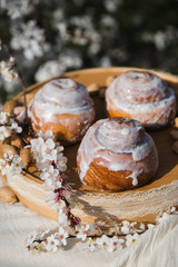 Homemade Cinnabon Buns with Cinnamon and Cream. Tasty cakes with cream buttercream icing. Easter sweet dessert cake. Close up view. Cinnamon in blooming trees. Outdoor shooting in garden.