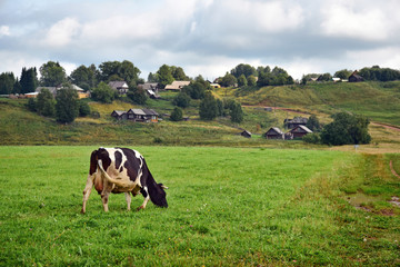 Russian village in the rays of the warm summer sun. Old wooden houses, fields and copses.