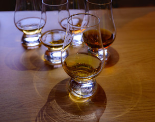 Flight of Scottish whisky, tasting glasses with variety of single malts or blended whiskey spirits on distillery tour in Scotland