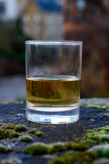 Scotch single malts or blended whisky spirits in glasses with old houses of Edinburgh on background, Scotland, UK