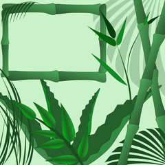 bamboo tropical agave leaves palm pattern frame template