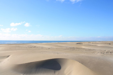 Fototapeta na wymiar The famous Espiguette beach, a beautiful sandy beach in Camargue, France