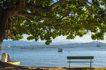 Bench in Florianopolis, Brasil