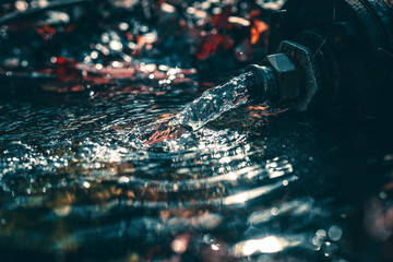 Wasserquelle