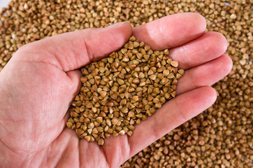 buckwheat groats in hand on a background of buckwheat. Close-up. View from above.