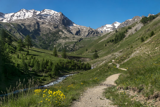 sentier Vallon du Lauzanier , Parc National du Mercantour , Alpes , France