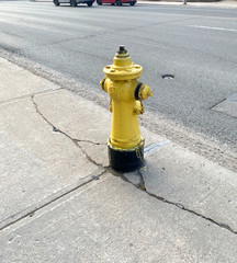 Fire hydrant (yellow) on the street