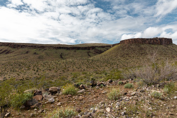Oatman highway in Arizona