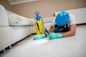 Exterminator in work wear spraying pesticide with sprayer.