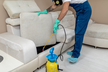 Exterminator in work wear spraying pesticide with sprayer.