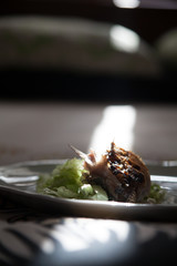 Fish Bones on ceramic plate with green lettuce and with side reflexion. 