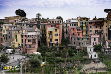 Fototapeta premium Cinqueterre