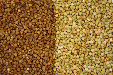  two types of buckwheat. background