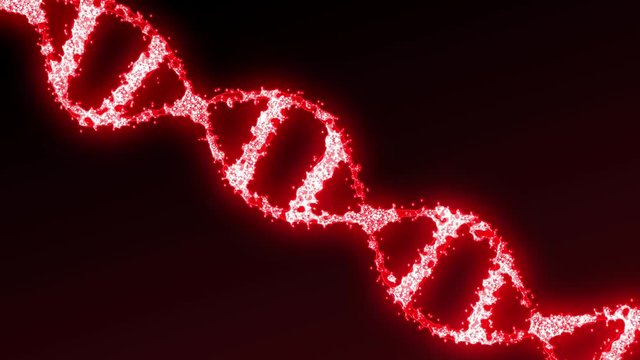 Conceptual loopable 3D animation of red DNA molecule model