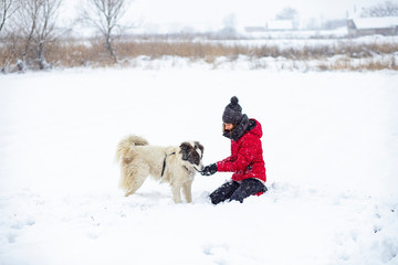 woman in red jacket playing with her dog in big snow