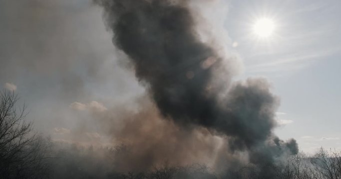 High clouds smoke fire in city park against blue sky, bright sun disk, lens flare, arson against of trees in spring. Protest, criminal incident. Flames. Slow motion