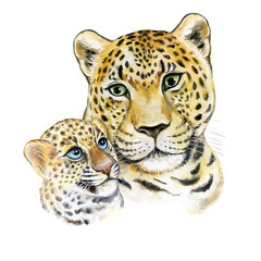 Leopards. Mum with a child isolated on a white background. A tigress mum washes a baby. Watercolor. Illustration, Template. Greeting card design. Bohemian boho drawing for nursery poster, sticker
