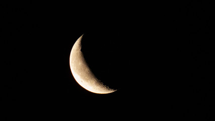 Fototapeta na wymiar Astronomy: Small crescent moon full of small craters isolated in a pitch black sky.