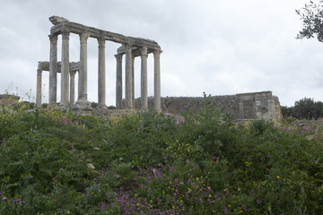 Sîte de Dougga