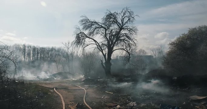 Clouds heavy smoke and fire in city park on background of blue sky slide back, arson on background of trees in spring slow motion. Protest, criminal incident. Сonsequences flaming flame in park