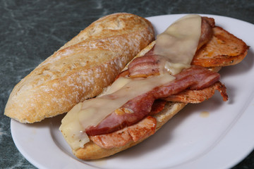 Tasty sandwich with chicken