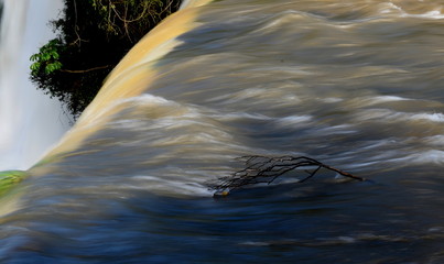 Brunch of a tree almost falling from a the waterfall in Iguazu