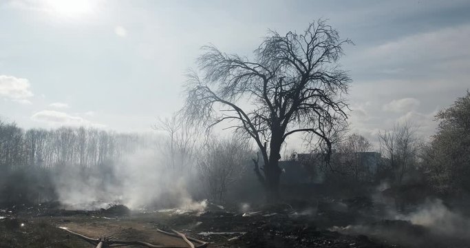 Heavy cloud smoke and fire in city park on background of blue sky slide back, arson on background of trees in spring slow motion. Protest, criminal incident. Consequences flaming flame in park