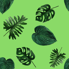 Original seamless tropical pattern with bright plants and leaves on light green background. Seamless pattern with colorful leaves of colocasia, filodendron, monstera. Exotic wallpaper. Hawaiian style © Olena