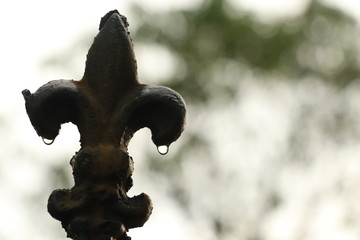 STEEL OBJECT WITH RAINDROPS WITH BLURRY BACKGROUND.