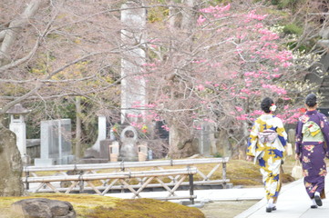 Kyoto, Japan