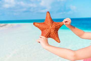 Fototapeta na wymiar Tropical beach with a beautiful red starfish