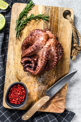 Boiled whole octopus on a cutting Board ready for cutting. Gray background. Top view