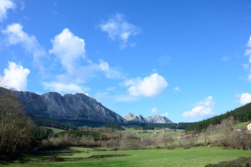 Landscape of mountains forests and meadows on sunny day with blue skies