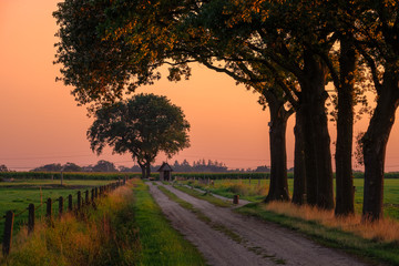 Sunset at a Dutch farm landscape near the village of Zenderen. It lies in the region of Twente (in the province Overijssel in the eastern Netherlands ). A lonely shed with graffiti can be seen.
