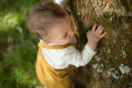 Baby Hugging Tree