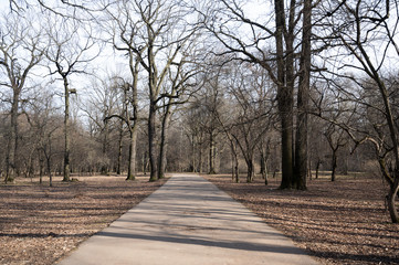 Empty walking path in the park closed due to coronavirus quarantine