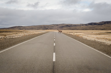 patagonia's road