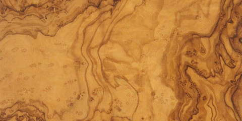 Natural olive wood with beautiful wood grain may used as background