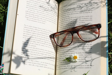 AMOR A LA LECTURA